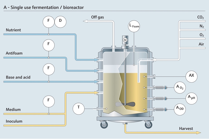 Single-use fermentation process with a bioreactor
