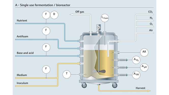 Single-use fermentation process with a bioreactor
