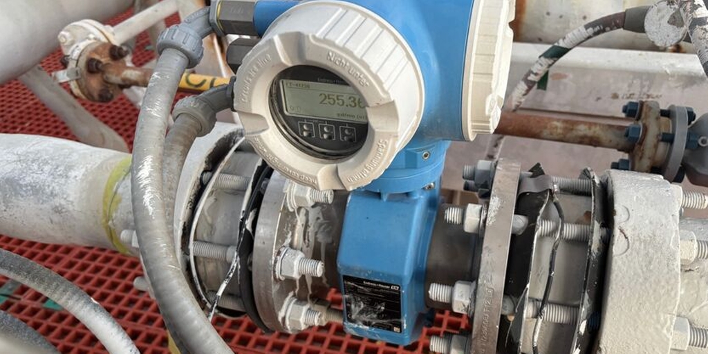 Endress+Hauser's Proline Promag P 300