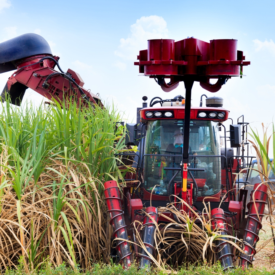 Harvesting machine collecting biomass feedstock used for bioethanol production.
