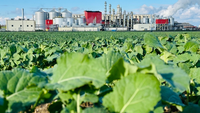 Bioethanol production from agricultural feedstocks