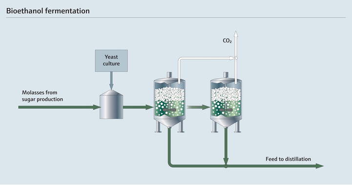 Bioethanol fermentation process diagram