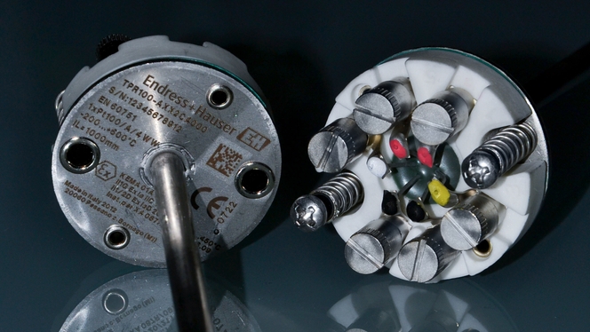 Endress+Hauser 温度+系统产品，意大利