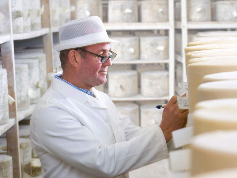 乳品厂员工正在奶酪生产车间进行质量检测