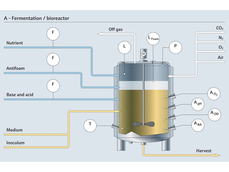 Fermentation/ bioreactor process diagram