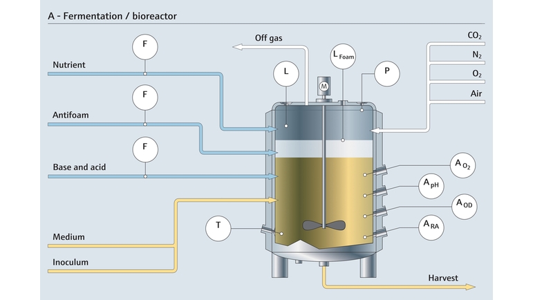 Fermentation in a bioreactor and the related measuring points