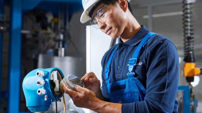 Manual maintenance of field device